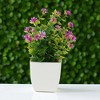 Unique Bargains Artificial Tree Greenery Plant Plastic 2.76"x2.76"x7.09" 1 Pc - 2 of 4