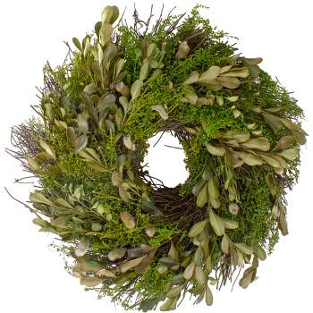 Northlight Mixed Foliage and Willow Bud Artificial Spring Wreath, 10-Inch