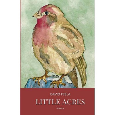 Little Acres - by  David Feela (Paperback)