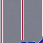 atlanta braves home 2012