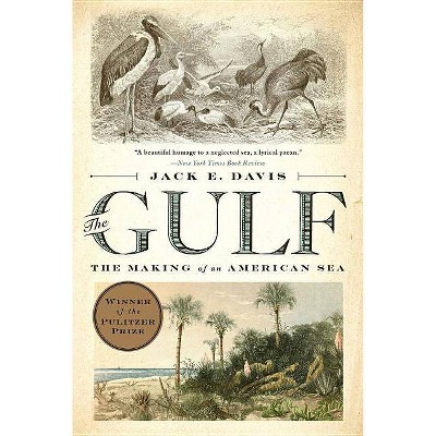 The Gulf - by  Jack E Davis (Paperback)