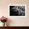 HomeRoots Delicate Beauty White Framed Print Wall Art - 2 of 4