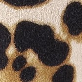 white leopard
