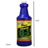 Liquinox Start 0-2-0 Vitamin B-1 Transplant Solution and Root Stimulant, 1 Quart - 3 of 3