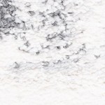 ivory/grey