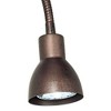 Cal Lighting CALBO-119-RU Transitional One Wall Lamp Lighting Accessories, 24x15.4x24 - 4 of 4