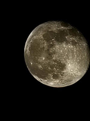 Guest review image 1 of 1, zoom in