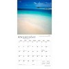 BrownTrout Florida Wild and Scenic 2026 12"x24" Hanging Square Wall Calendar Plastic-Free - 4 of 4
