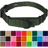 Country Brook Petz Heavy Duty Nylon Martingale Dog Collar with Deluxe Buckle - 30+ Vibrant Color Options - 2 of 4