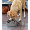 Outward Hound Fun Feeder Slo-Bowl For Dogs - L - Gray - 3 of 3