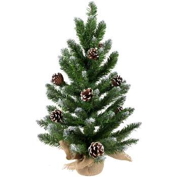 Northlight 2 FT Frosted Norway Pine with Pine Cones Medium Artificial Christmas Tree, Unlit