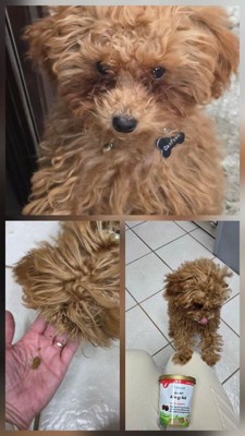 Guest review image 1 of 1, zoom in