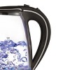 Brentwood Glass 1.7 Liter Electric Kettle with Tea Infuser in Black  985117012M - The Home Depot