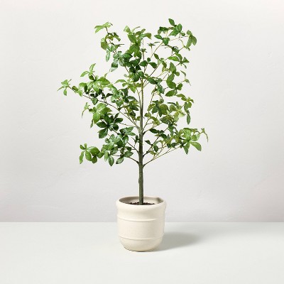 33" Faux Potted Gypsophila Leaf Tree - Hearth & Hand™ with Magnolia