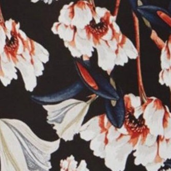 black-bloomingbegoni