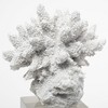HomeRoots 10" White Metal Tabletop Sculpture - 4 of 4