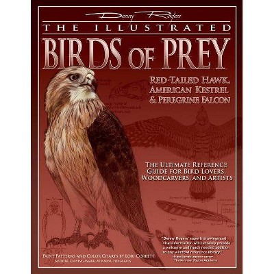 Illustrated Birds of Prey: Red-Tailed Hawk, American Kestral, & Peregrine Falcon - by  Denny Rogers (Paperback)