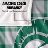 Illinois Wesleyan University Campus Plaid Spirit Silky Touch Super Soft Throw Blanket 50x60 - 4 of 4