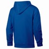 NHL Hartford Whalers Men's Vintage Fleece Hooded Sweatshirt - 2 of 3