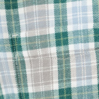 spruce