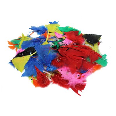 Charles Leonard Turkey Feathers, Bright Colors, 14 Grams (Pack of 10)