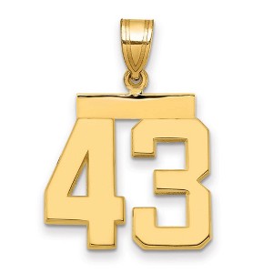 Black Bow Jewelry 14k Yellow Gold, Athletic Collection Medium Polished Number 43 Pendant - 1 of 3