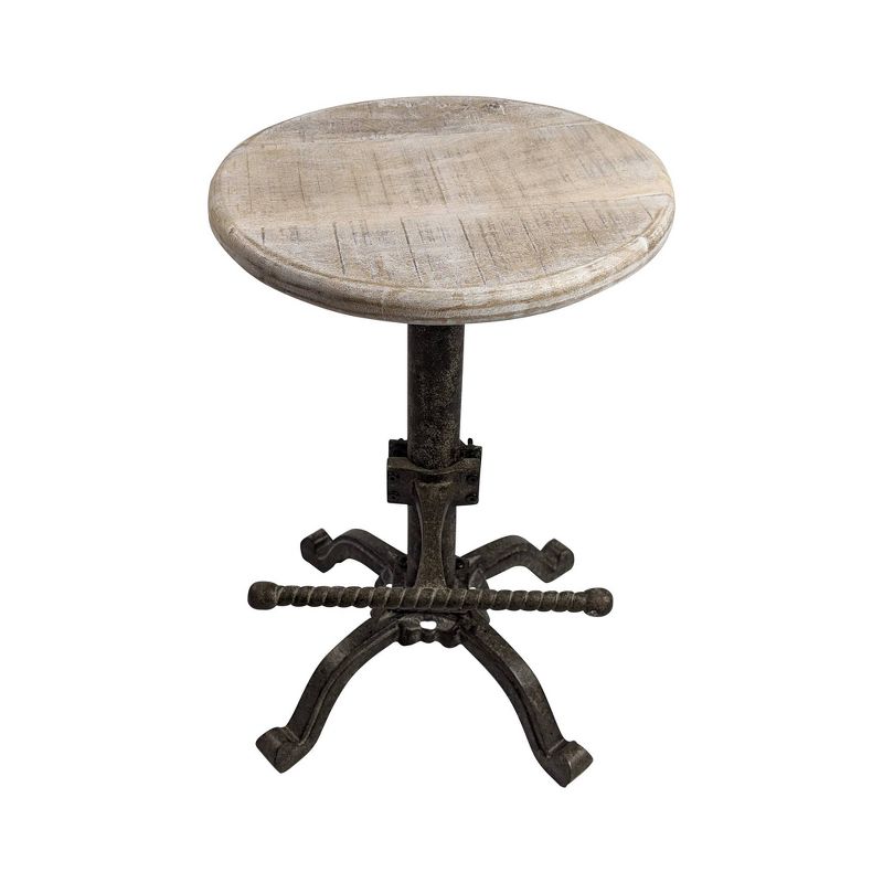 24&#34; Ryder Swivel Adjustable Barstool Natural Driftwood/Aged Iron - Carolina Chair &#38; Table, 1 of 8