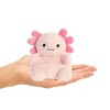Aurora® Palm Pals™ Ax Axolotl™ 5 Inch Stuffed Animal Toy #1-072 Aquatic - 4 of 4