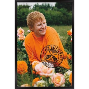 Trends International Ed Sheeran – Rose Field Framed Wall Poster Prints - 1 of 4