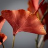 28"H Sullivans Artificial Red Fall Gingko Spray - 2 of 3