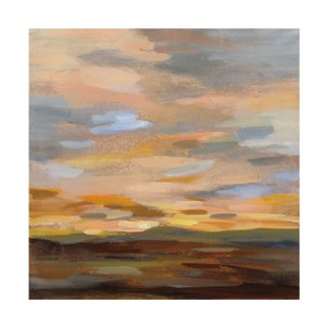 Trademark Fine Art -Silvia Vassileva 'High Desert Sky III' Canvas Art - 1 of 4