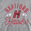 University of Hartford Official Hawks Adult Pull-Over Hoodie - 2 of 4