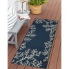 Liora Manne Esencia Coastal Indoor/Outdoor Mat.. - 3 of 4
