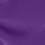 purple orchid