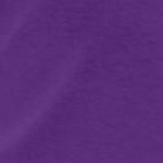 purple orchid