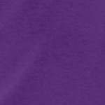 purple orchid