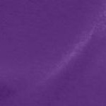 purple orchid