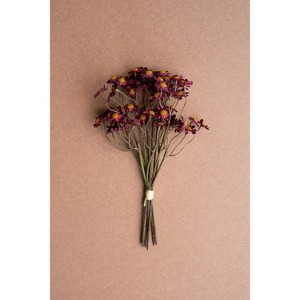 Artificial Chamomile Bundle – 10" Tall Burgundy Faux Floral by Kalalou - 1 of 3