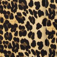 yellow black