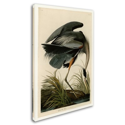 Trademark Fine Art - John James Audubon 'Great Blue Heron' Canvas Art