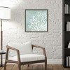 Amanti Art Sea Crown II (Coral) by Aimee Wilson Canvas Wall Art Print Framed 16 x 16-in. - 4 of 4