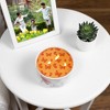 Pavilion Gift Company - Amazing - 12 oz - 100% Soy Wax Reveal Triple Wick Candle Scent: Tranquility - Flame Candles - 2 of 4