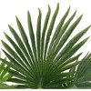 vidaXL Artificial Plant Palm with Pot Green 27.6" - 3 of 3