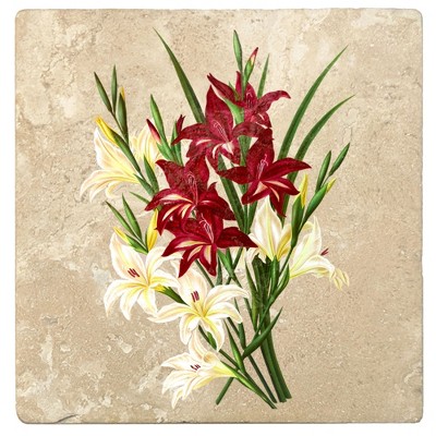 Christmas by Krebs Set of 4 Ivory and Red Gladiolus Square Coasters 4"