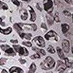 silver foil leopard