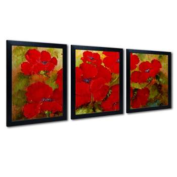 Trademark Fine Art -Rio 'Poppies' Multi Frame Art Set