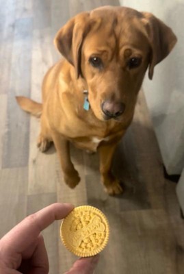 Guest review image 1 of 4, zoom in