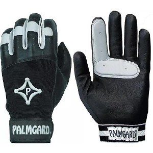 Palmgard Protective Inner Glove - 1 of 1