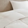 Gracie Mills Eldon All Season Oversized Cotton Down Comforter - image 3 of 3