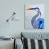 Stupell Industries Strong Blue Pelican in Water Aquatic Bird Portrait - 2 of 4